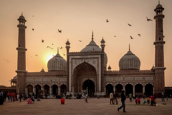 Delhi Gallery