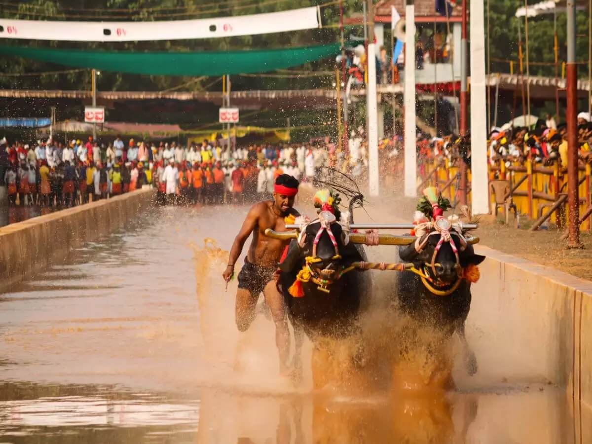 Karnataka Gallery