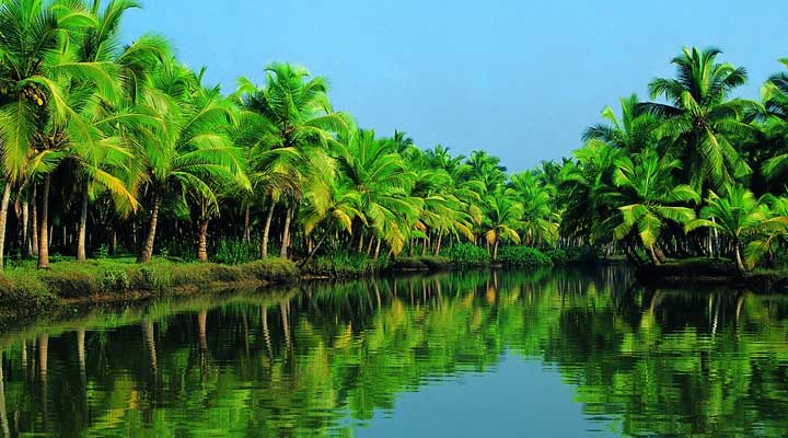 Kerala Gallery