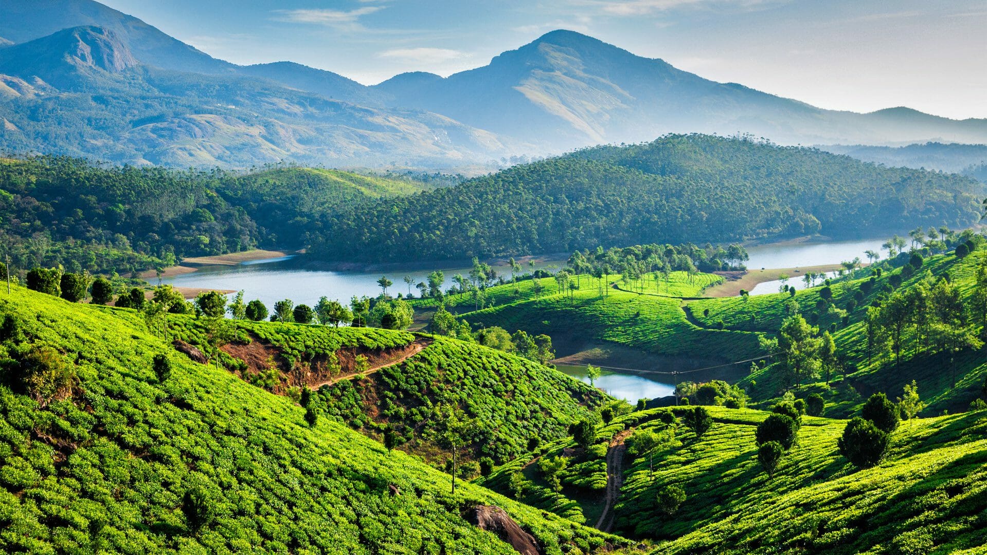 South India